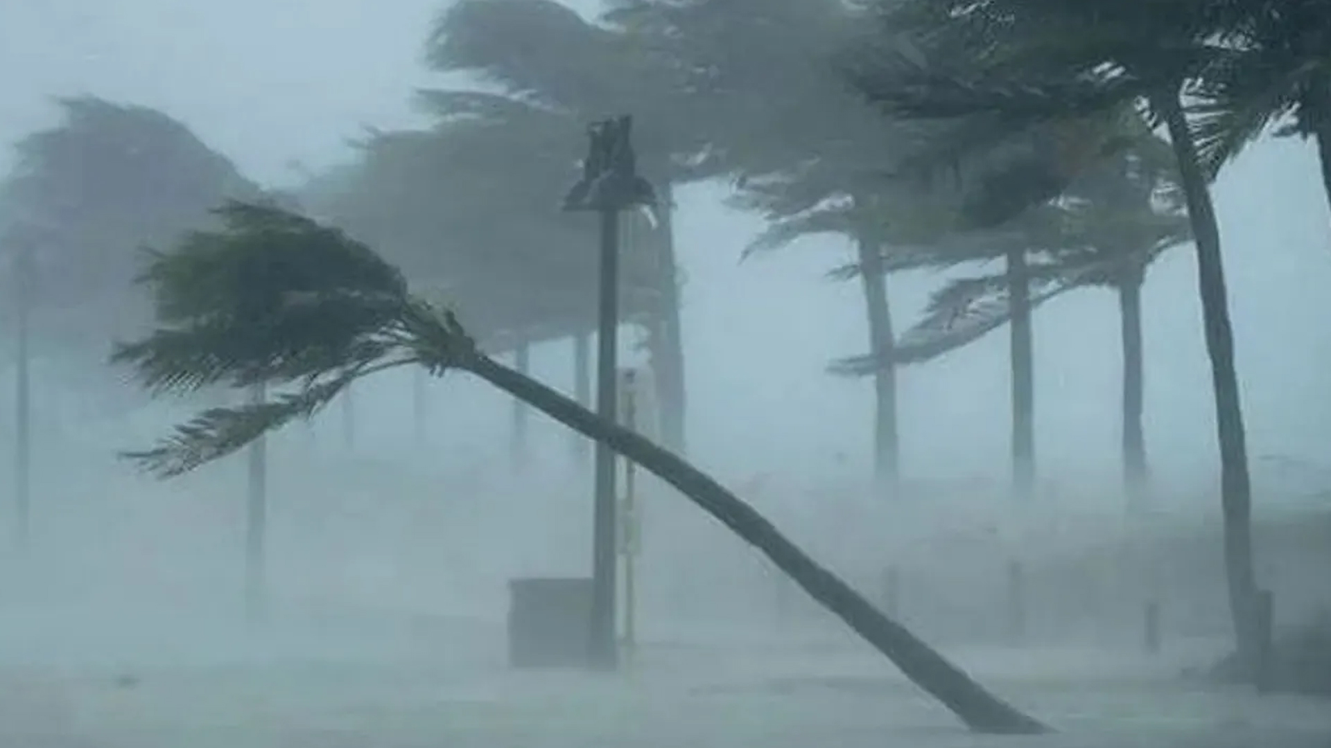 দুপুরের মধ্যে ৫ জেলায় ঝড়ের আভাস