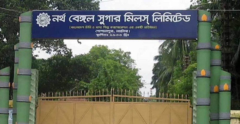 রাজশাহীর ফসল নাটোরে পাচার, কৃষক বন্দি মিল ব্যবস্থাপনার ফাঁদে