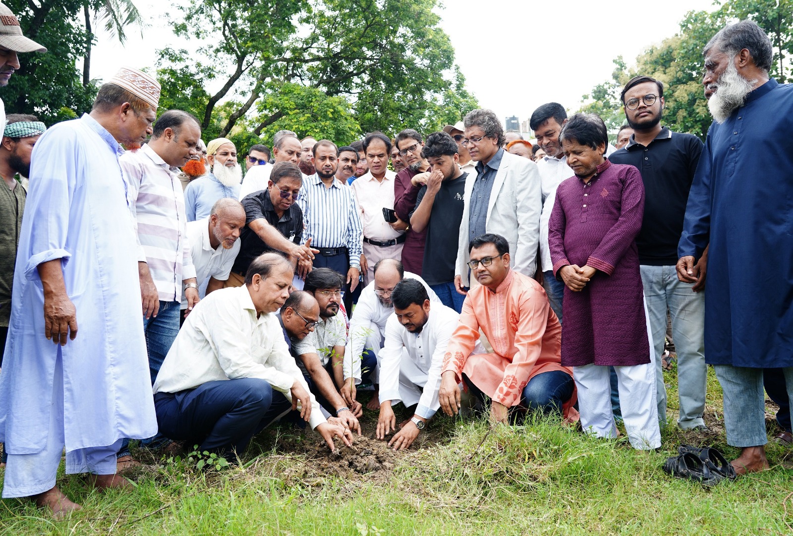 জাতীয় পেশাজীবী দলের উদ্যোগে রাজশাহীতে বৃক্ষরোপণ