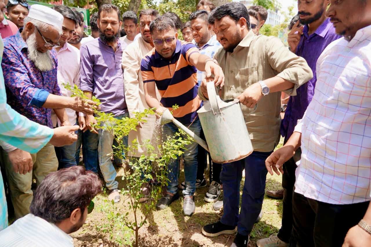 সবুজ রাজশাহী গড়ার প্রত্যয়ে রাজশাহী কলেজ ছাত্রদলের বৃক্ষ বিতরণ কর্মসূচি