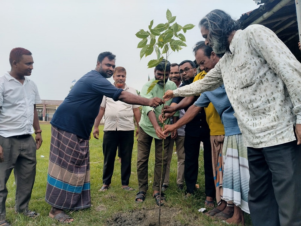 রাজশাহীর পবায় বিএনপির উদ্যোগে বৃক্ষরোপণ কর্মসূচি পালন