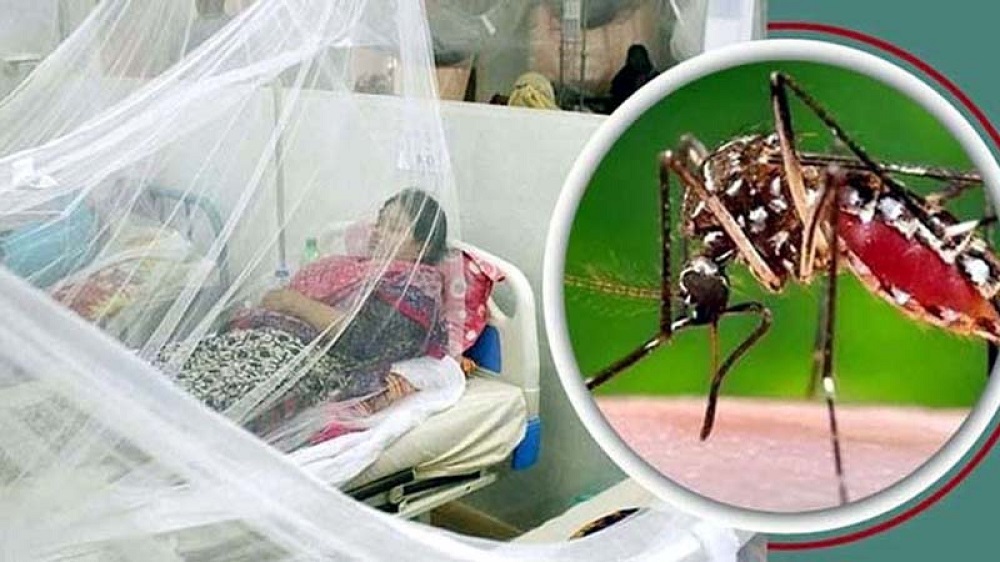 রামেক হাসপাতালে ডেঙ্গুতে ১৩ জনের মৃত্যু, চিকিৎসাধীন ৮৬