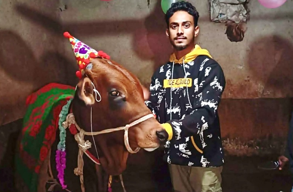নওগাঁয় গরুর জন্মদিন পালনের এক ব্যতিক্রমধর্মী আয়োজন